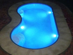 Bean Shaped Pool Manufacturer in Indore