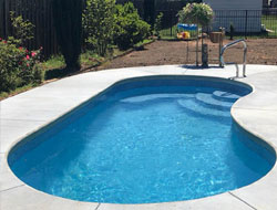 Kidney Shaped Swimming Pools Manufacturer in Indore